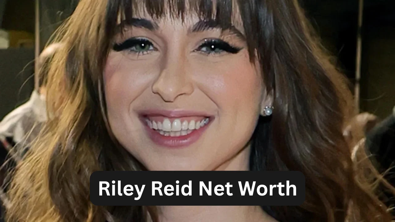Riley Reid Net Worth