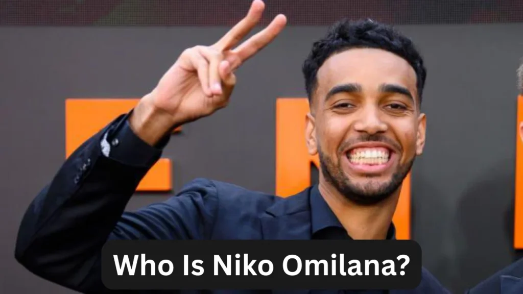 Who Is Niko Omilana?